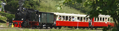 99 6101